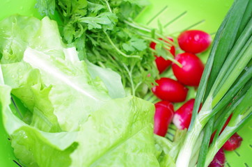  Fresh vegetables and green salad