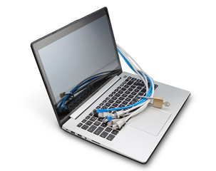 Modern notebook and a group of network cable with a lock symbol