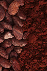cocoa beans and powder background