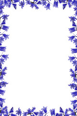 Blue flowers frame