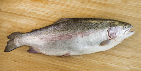 Large Trout on Bamboo Board