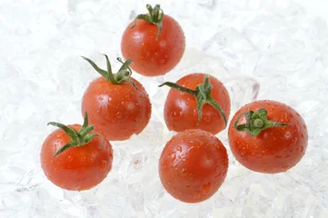 Fototapeten Mini-Tomate © to35ke75