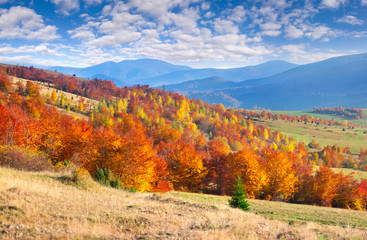 Fototapeta na wymiar Kolorowa jesień krajobraz w górach