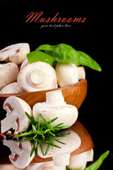 White mushroom with spice in black background