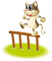 A cat crossing the fence