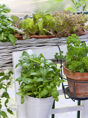 Balkongarten