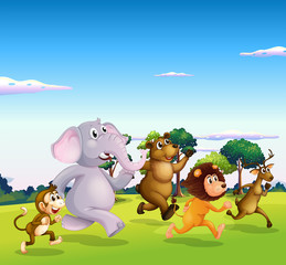 Obraz na płótnie Canvas Five wild animals running