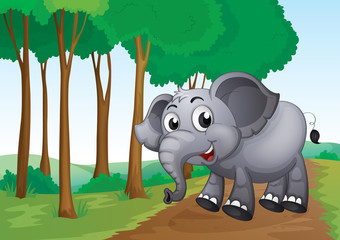 An elephant smiling at the forest