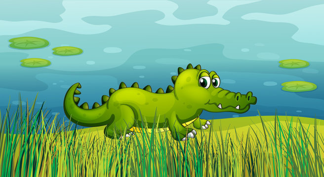A crocodile beside the pond
