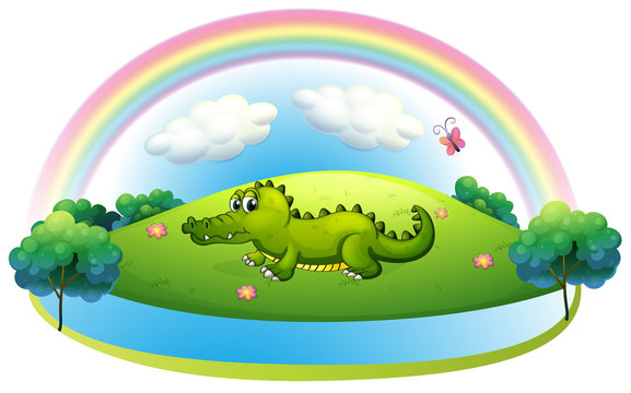An alligator at the hill with a rainbow
