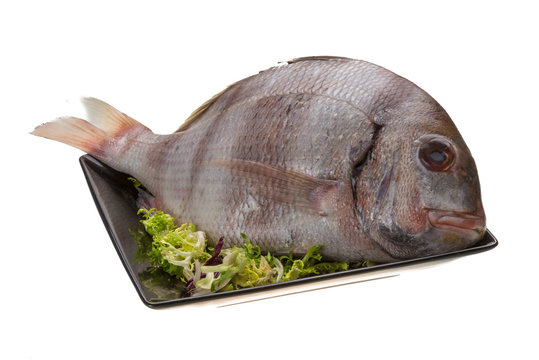 Raw porgy