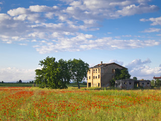 pictoresque landscape of a poppy field and a country house in it