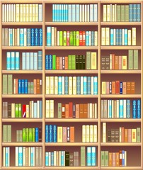 Bookcase full of different colorful books