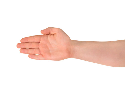Opened hand palm gesture isolated