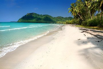 Beautiful landscape of tropical beach