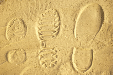 Family human footprints in the sand