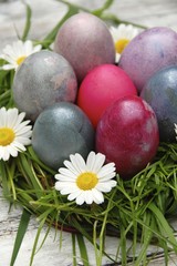 Osterkarte - Osternest mit bunten Eiern