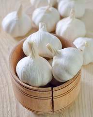 garlic