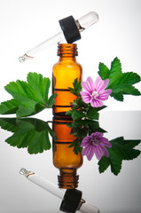 Malva Sylvestris with essential oil bottle - 52755933