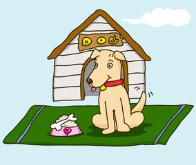 Dog waiting to eat at home.