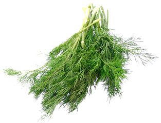 Kräuter Dill