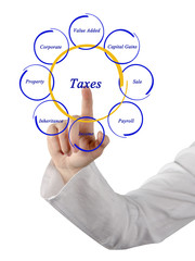 Diagram of taxes
