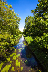 Fototapeta na wymiar Summer river with bright blue sky.