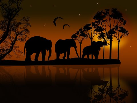 Elephants silhouette in africa near water