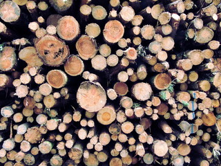 Smiley of fire wood