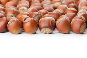 Unbroken hazelnuts on white surface