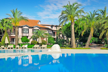 outdoor swimming pool and beautiful palm trees