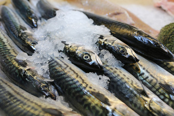 Fischmarkt in Bergen. Norwegen © Benshot