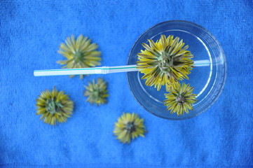 Flowers floating in full glass of water