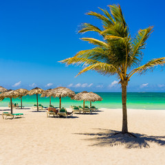Varadero beach in Cuba with a coconut tree