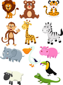 Cartoon animal collection