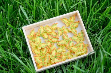 Żółte motyle