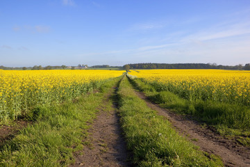 colorful countryside