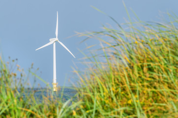 A view of a sea wind turbine generator throught green grass