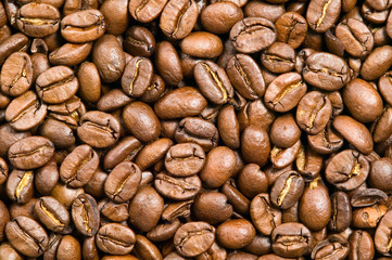 Brown background of coffee beans