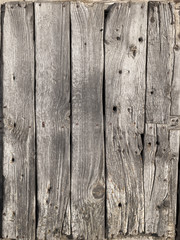Fototapeta premium wood texture