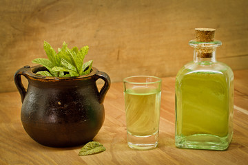 Peppermint plant, bottle and shot on wooden background