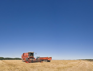 Combine harvester and farmland