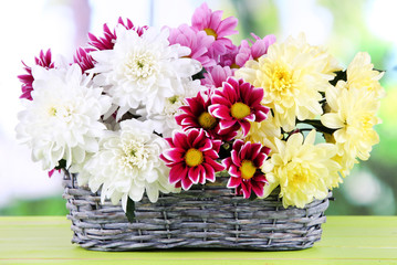 Obraz na płótnie Canvas Bouquet of beautiful chrysanthemums in wicker basket