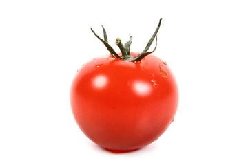 fresh tomatoe