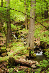 Beautiful cascade in Sudety mountains