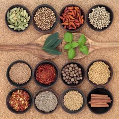 Poster Spice and Herb Sampler © marilyn barbone