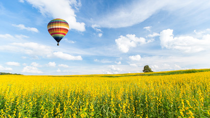 Hot air balloon over yellow flower fields against blue sky