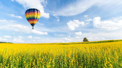 Montgolfière au-dessus des champs de fleurs jaunes contre le ciel bleu
