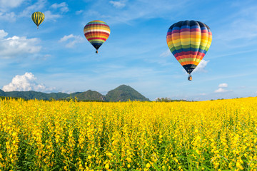 Hot air balloon over yellow flower fields against blue sky