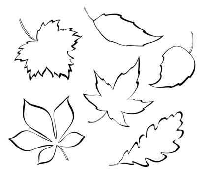 Stylized leaves